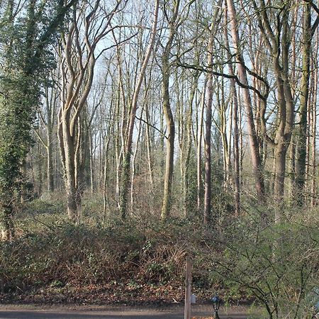 Gastenverblijf Peppelmate Doetinchem Kültér fotó