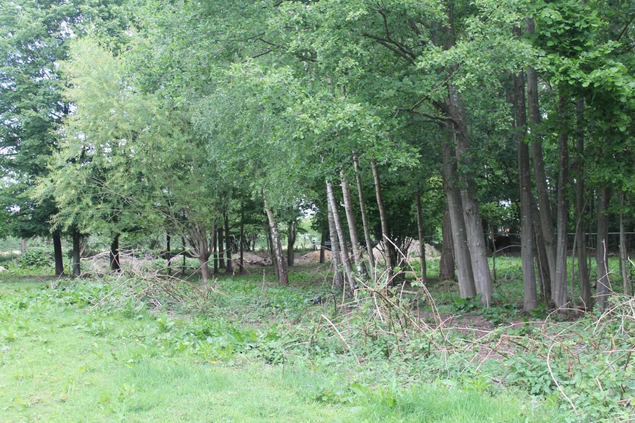 Gastenverblijf Peppelmate Doetinchem Kültér fotó
